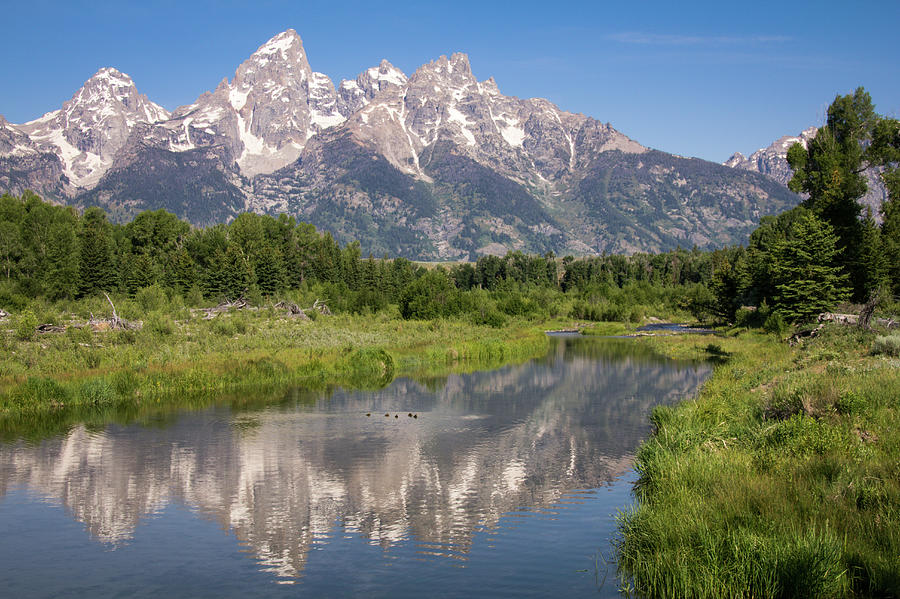 Teton Reflections By Nancy Rose