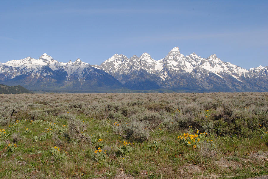 Teton Spring Photograph by Chet Humberd - Fine Art America