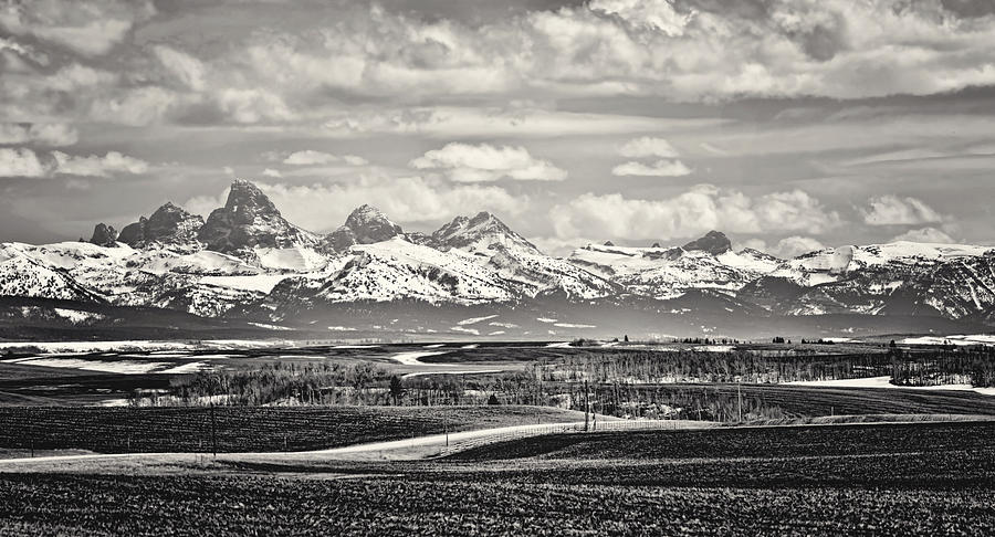 Teton Vista Black and White Photograph by Heather Applegate