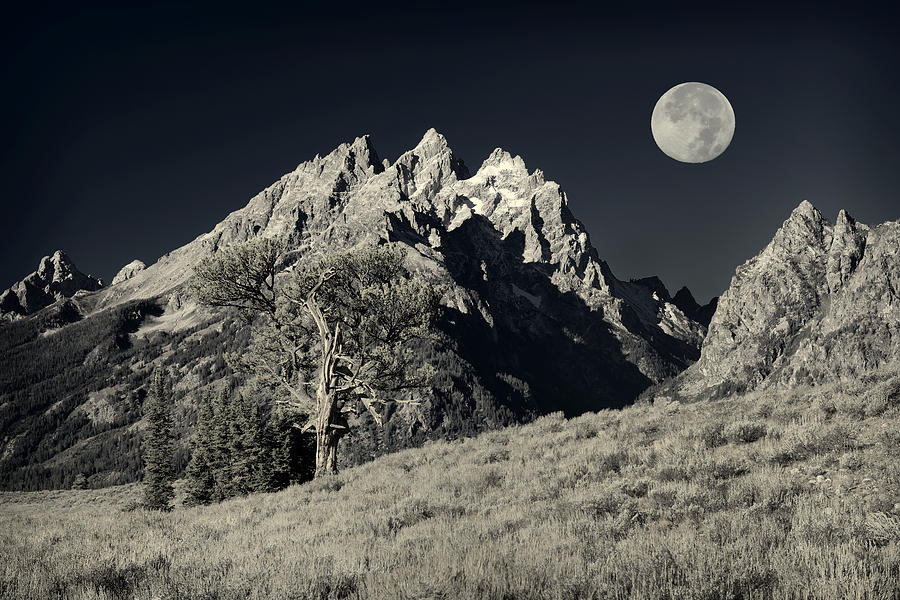 Tetons Black and White Photograph by Greg Norrell