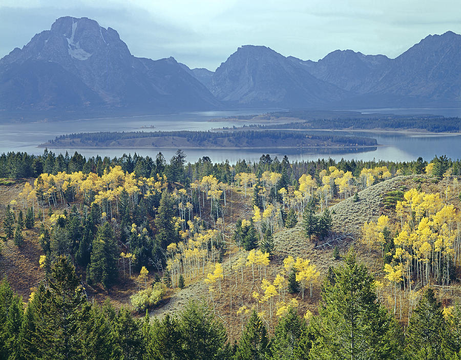 1m9209-tetons From Signal Mountain, Wy Photograph