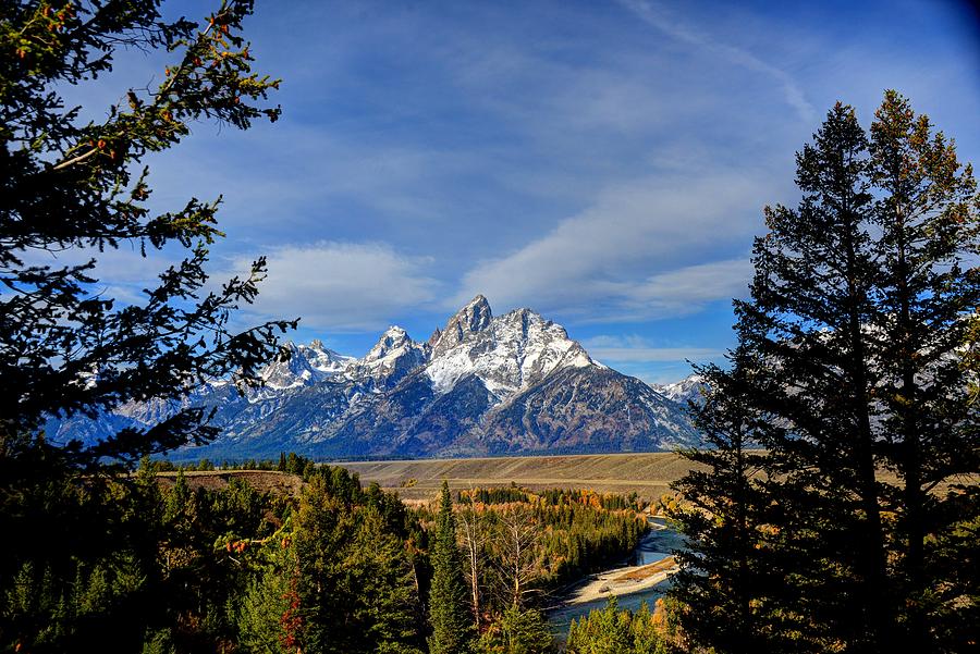 Tetons Through the Pines Photograph by Jean Hutchison