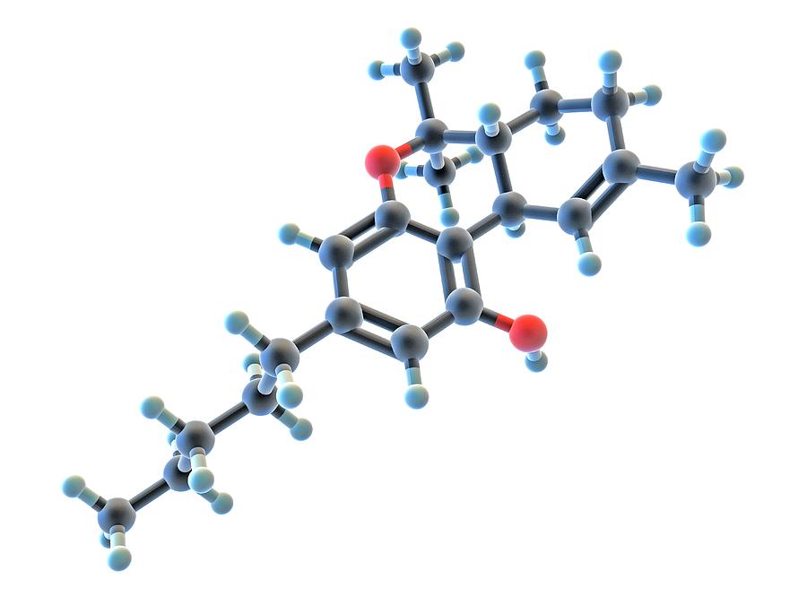 Tetrahydrocannabinol Thc Drug Molecule Photograph by Alfred Pasieka/science Photo Library
