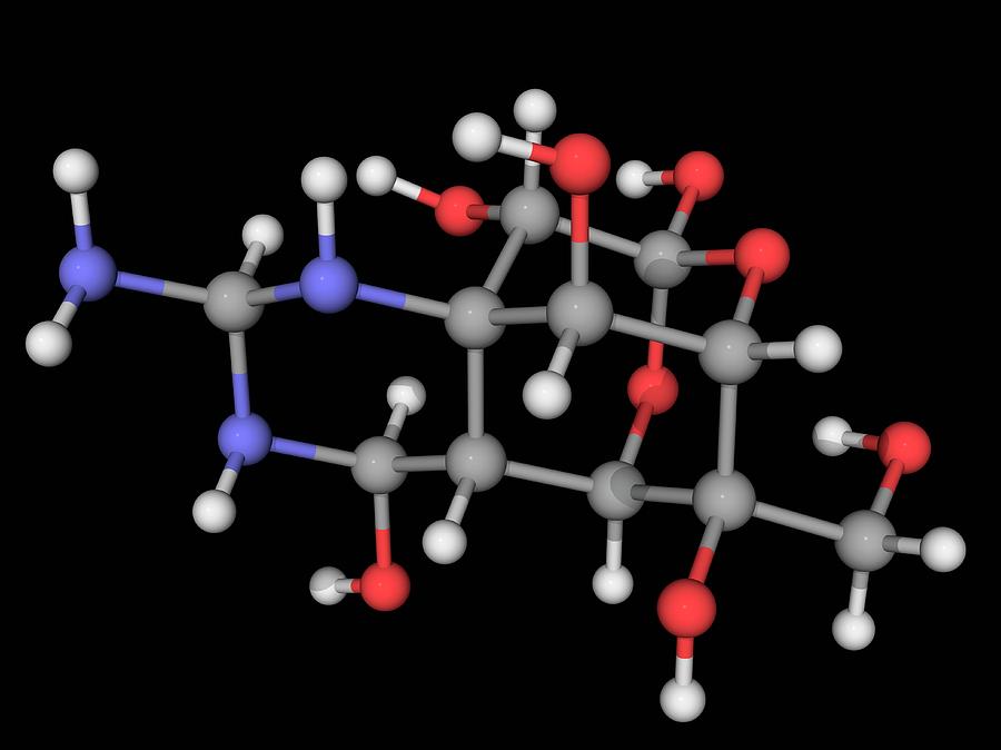 Tetrodotoxin Ttx Neurotoxin Molecule by Laguna Design/science Photo Library