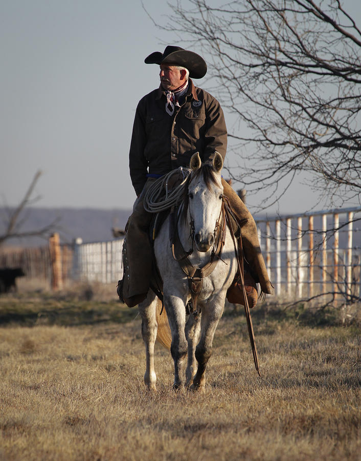 Horse Photograph - Texas 46 by Diane Bohna