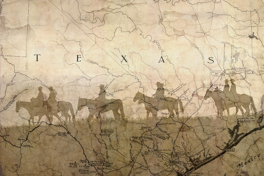 Texas Photograph - Texas And The Army by Suzanne Powers