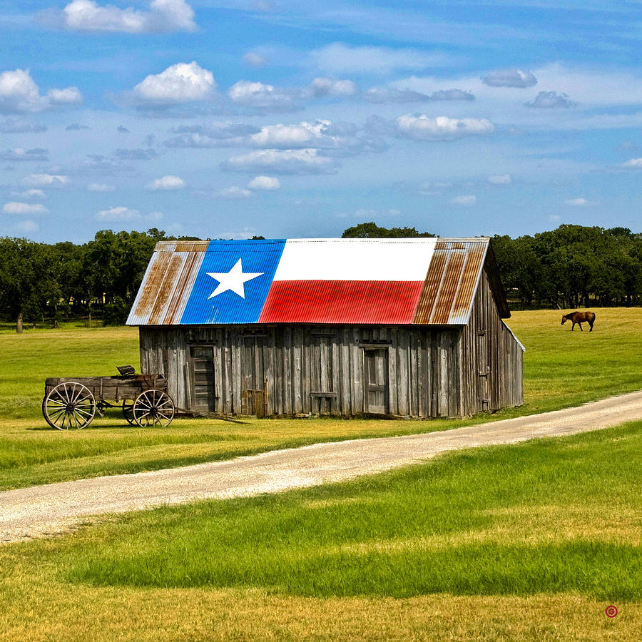 Horse Photograph - Texas Barn Flag by Gary Grayson