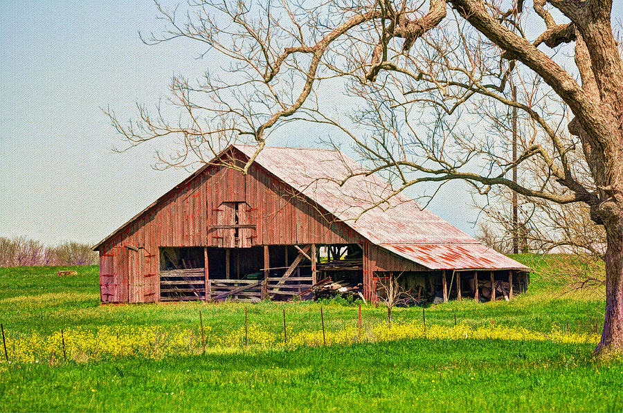 Texas Barn Photograph by Savannah Gibbs