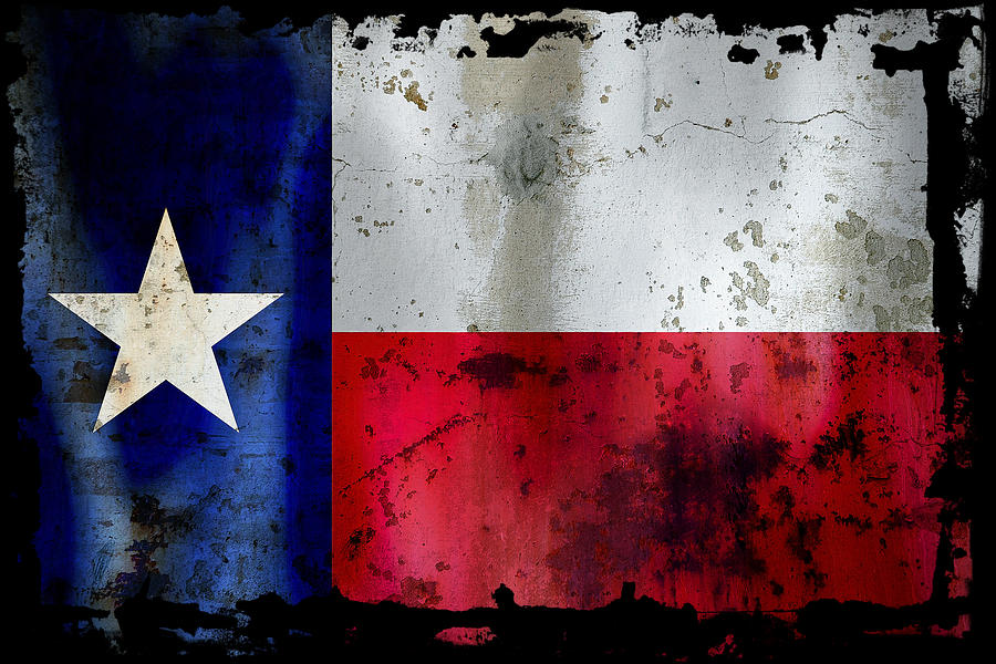 Texas Battle Flag Digital Art by Daniel Hagerman