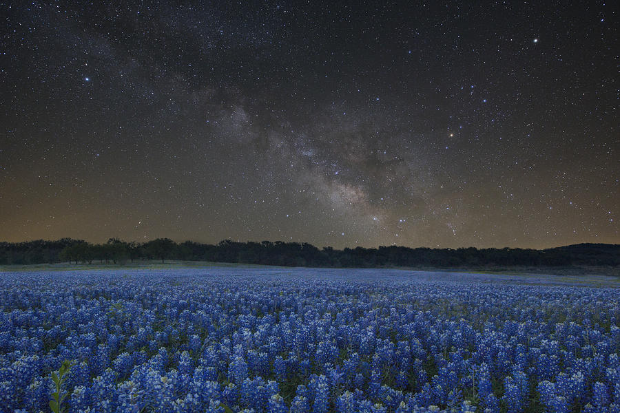 Bluebonnets Photograph - Texas Bluebonnets Under Starry Skies by Rob Greebon