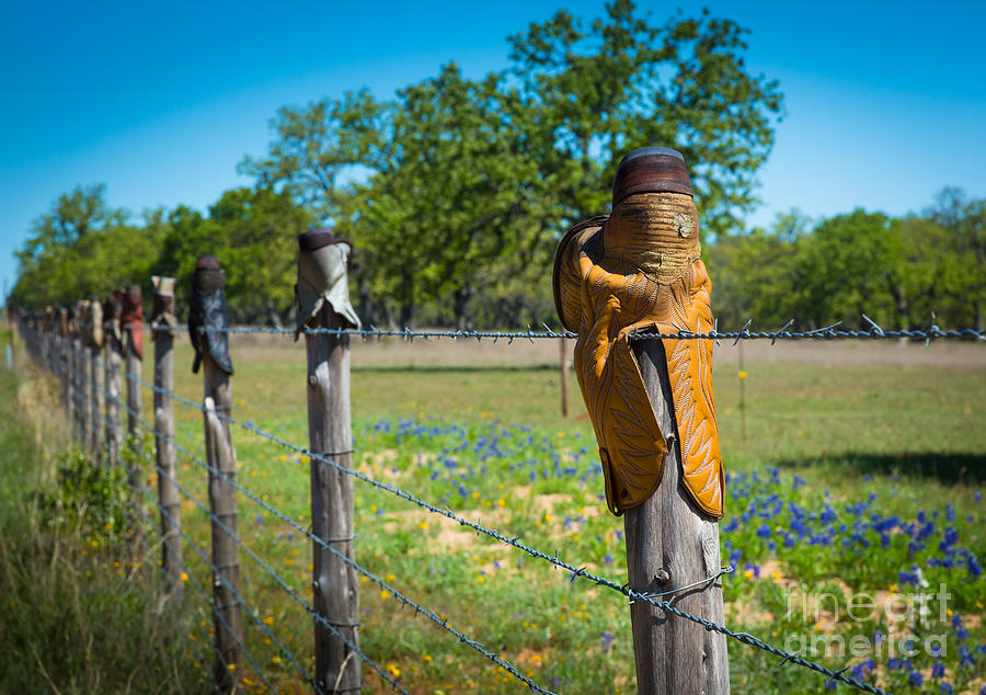 Texas Boot Fence Photograph by Inge Johnsson