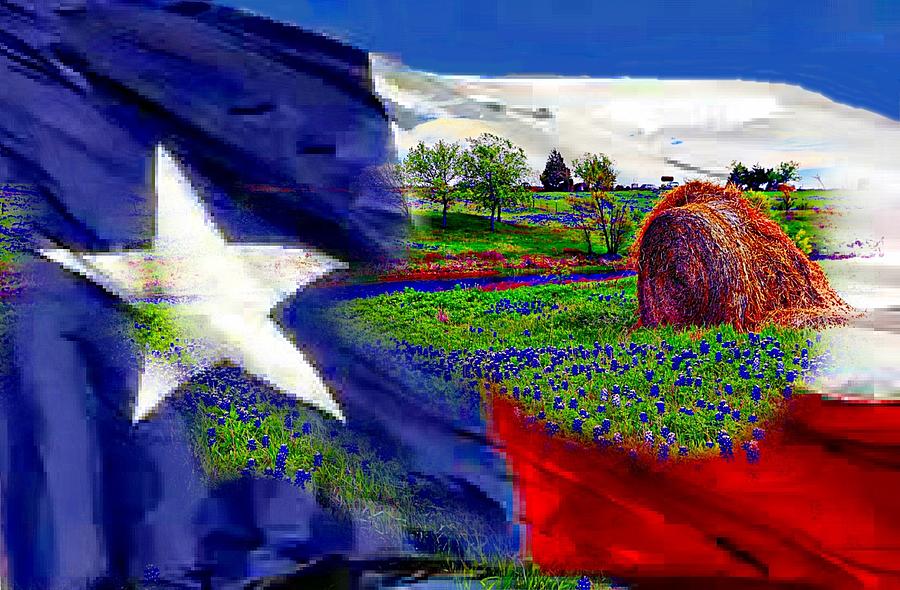 Texas Digital Art by Carrie OBrien Sibley