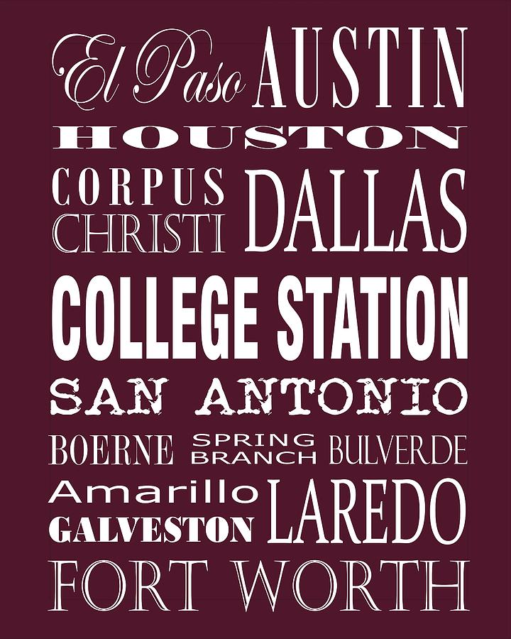 Texas Cities College Station Photograph by Debbie Karnes