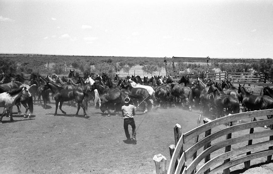 Texas Cowboy, 1939 Photograph by Granger