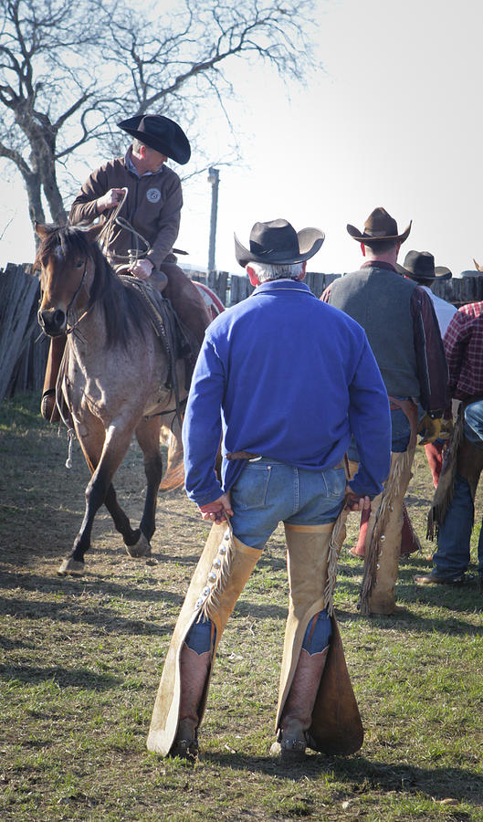 Texas Cowboy Photograph by Diane Bohna