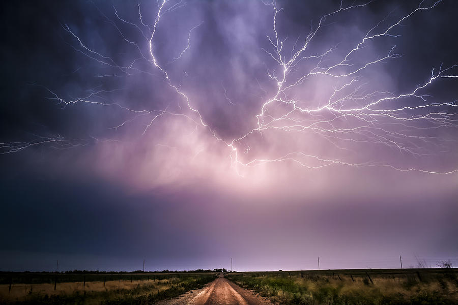 Texas Crawlers Photograph By Glenn Patterson Fine Art America 