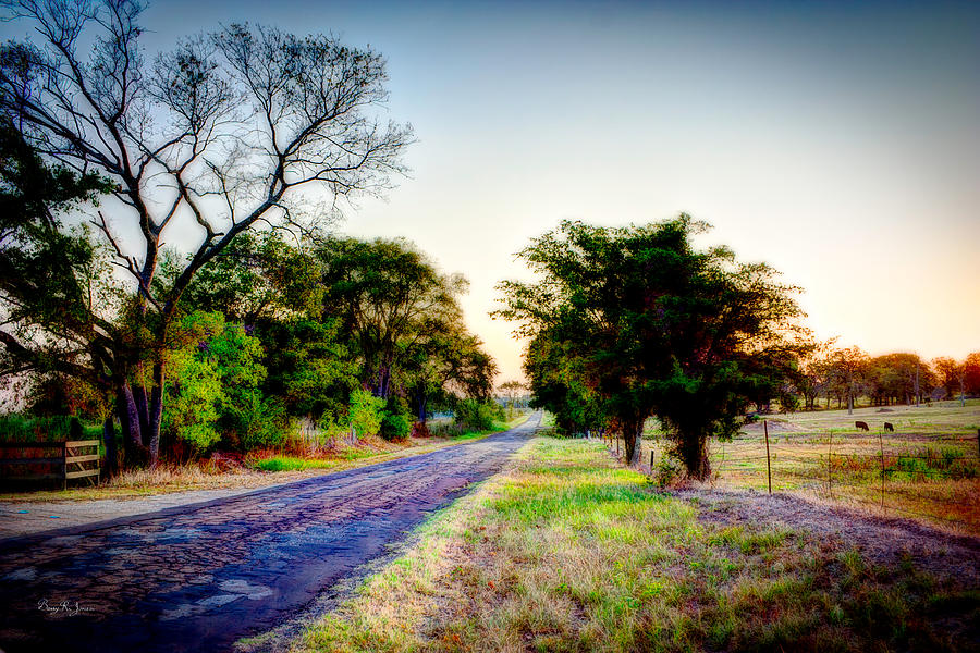 Texas Farm Road Morning Photograph by Barry Jones