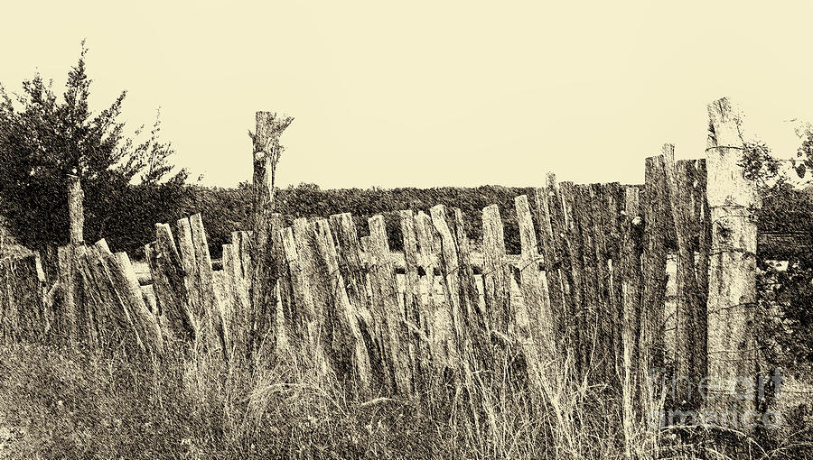 Vintage Digital Art - Texas Fence in Sepia by Luther Fine Art