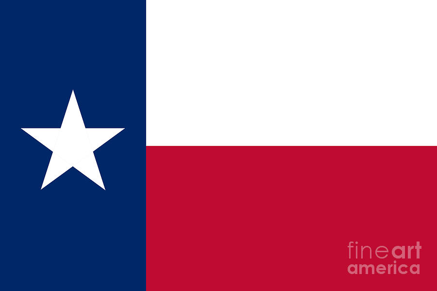 Texas state flag Digital Art by Sterling Gold