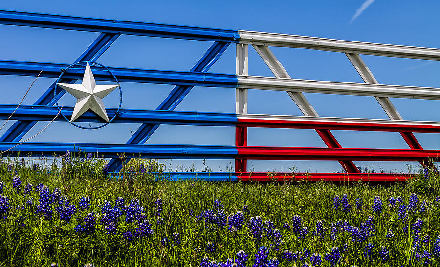 Texas Flag Painted Gate with Blue Bonnets by Robert Bellomy Texas Flag Painted Gate with Blue Bonnets by Robert Bellomy