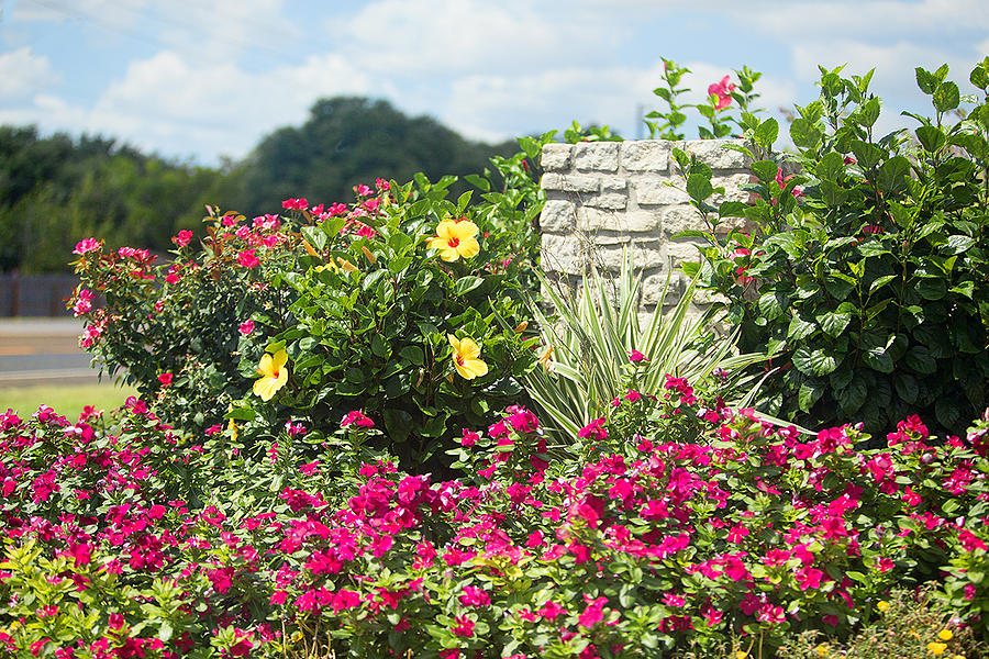 Texas Garden Wall Photograph By Linda Phelps 