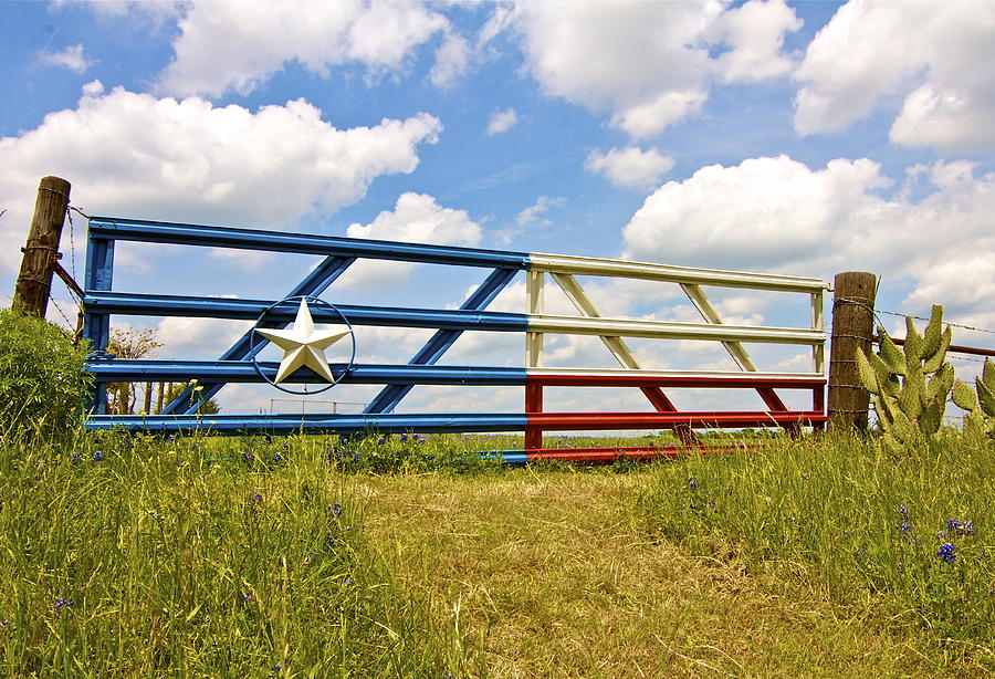 Texas Photograph - Texas Gate by John Babis