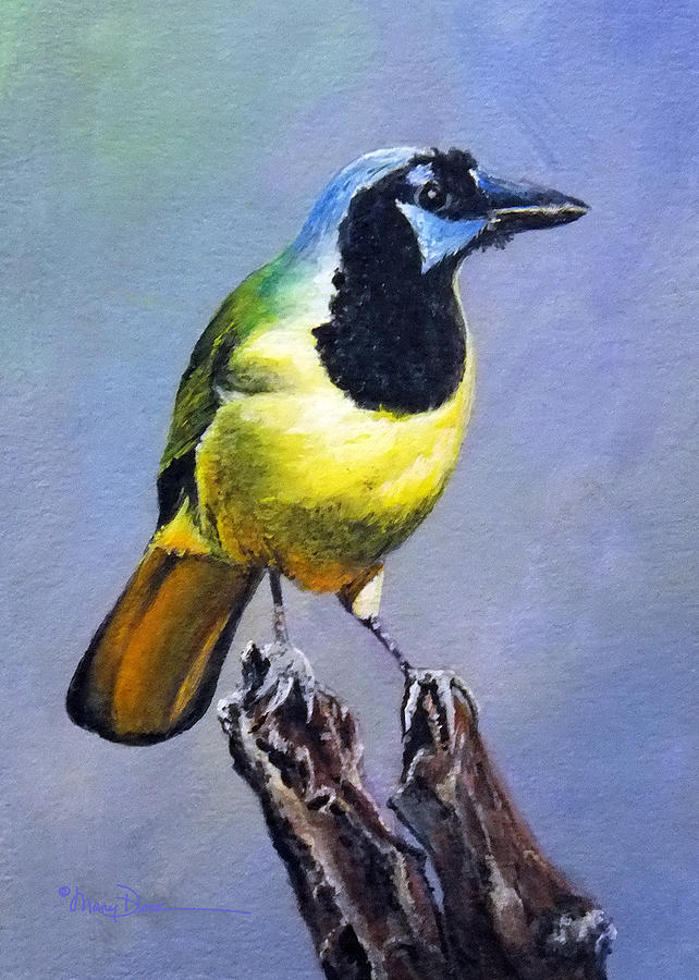 Texas Green Jay Painting by Mary Dove