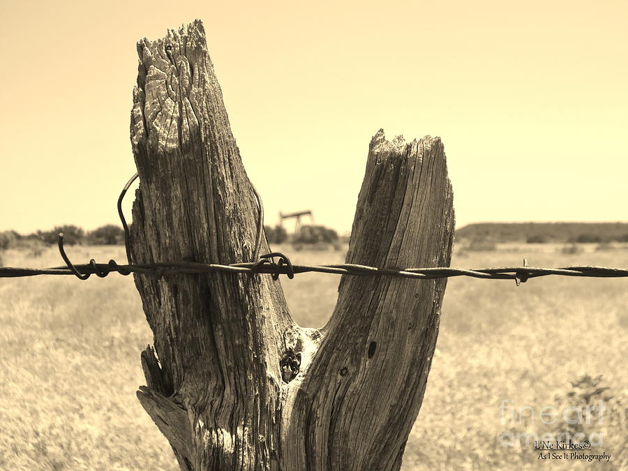 Barbwire Photograph - Texas In My View by Lne Kirkes