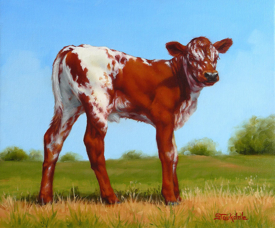 Texas Longhorn New Calf Painting by Margaret Stockdale