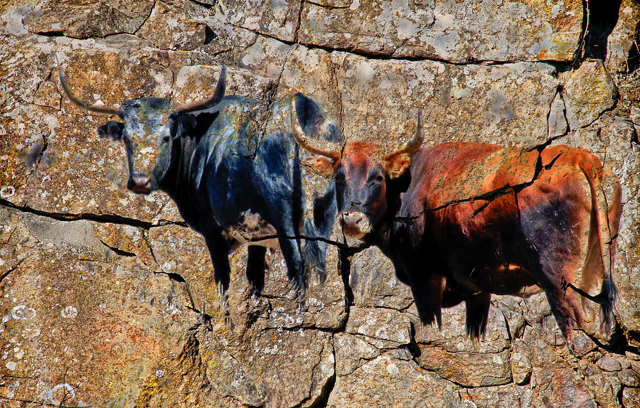 Texas Longhorn Rock Art Photograph by Steve McKinzie