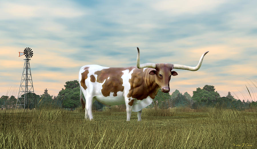 Texas Longhorn  Digital Art by Walter Colvin