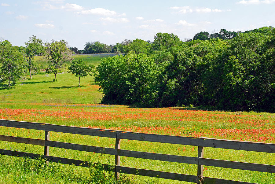 Texas Prairie - Gentle Hills in Springtime Photograph by Connie Fox