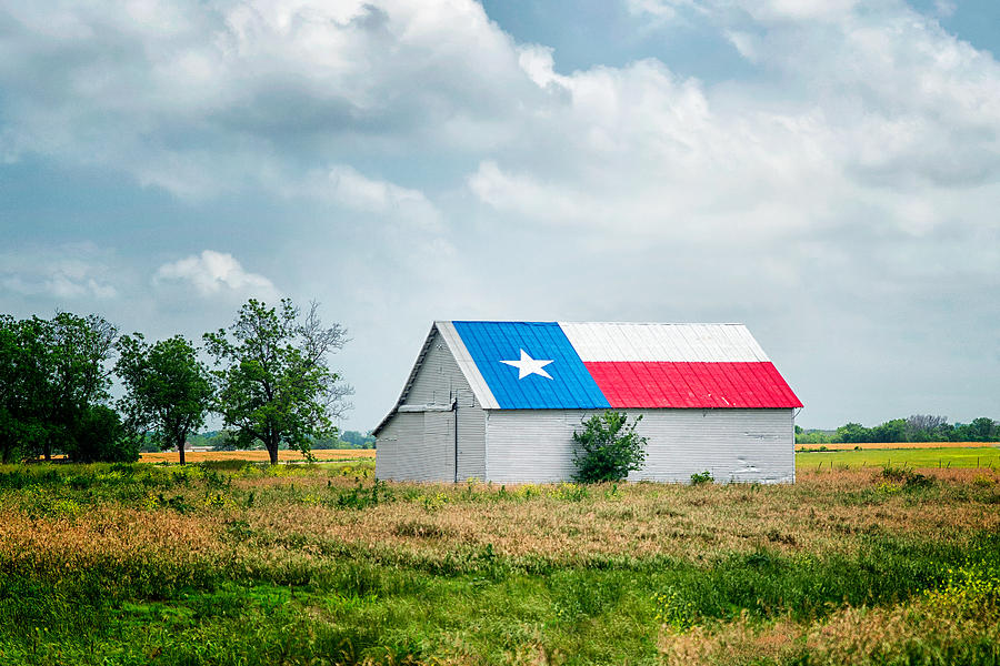 Texas Pride Photograph by Victor Culpepper