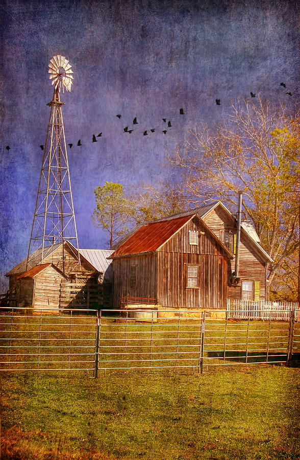 Texas Ranch Photograph by Joan Bertucci
