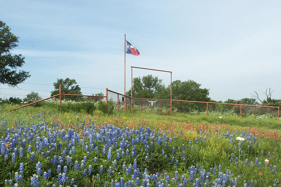 Texas Photograph - Texas Ranch by Robert Anschutz