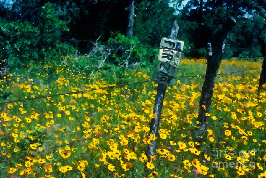 Flower Photograph - Texas roadsides  by L Jackson