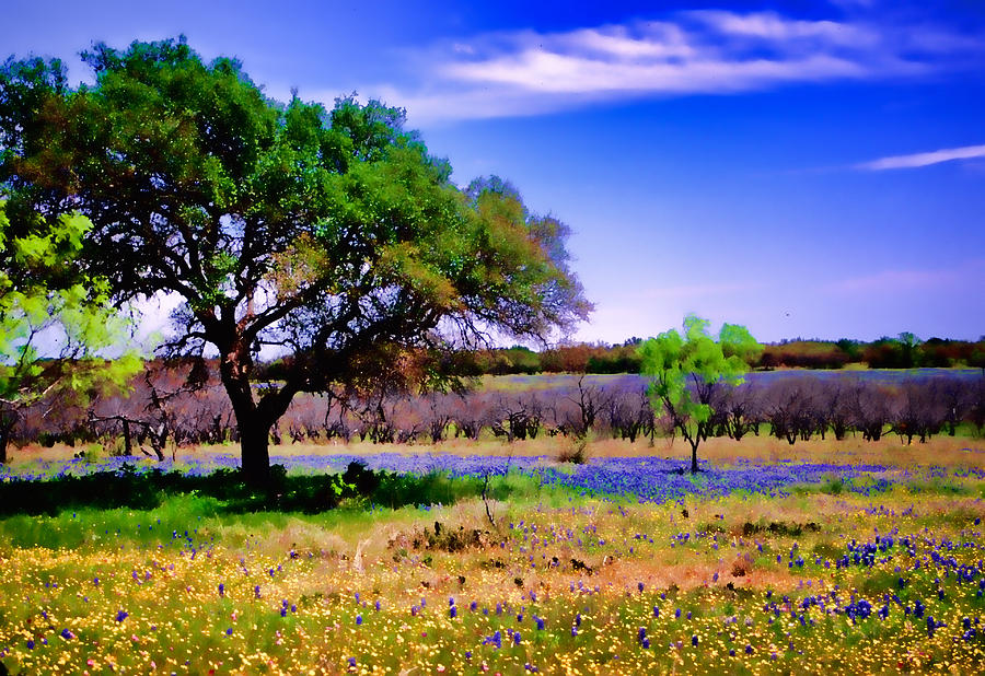 Texas Spring Photograph by David and Carol Kelly