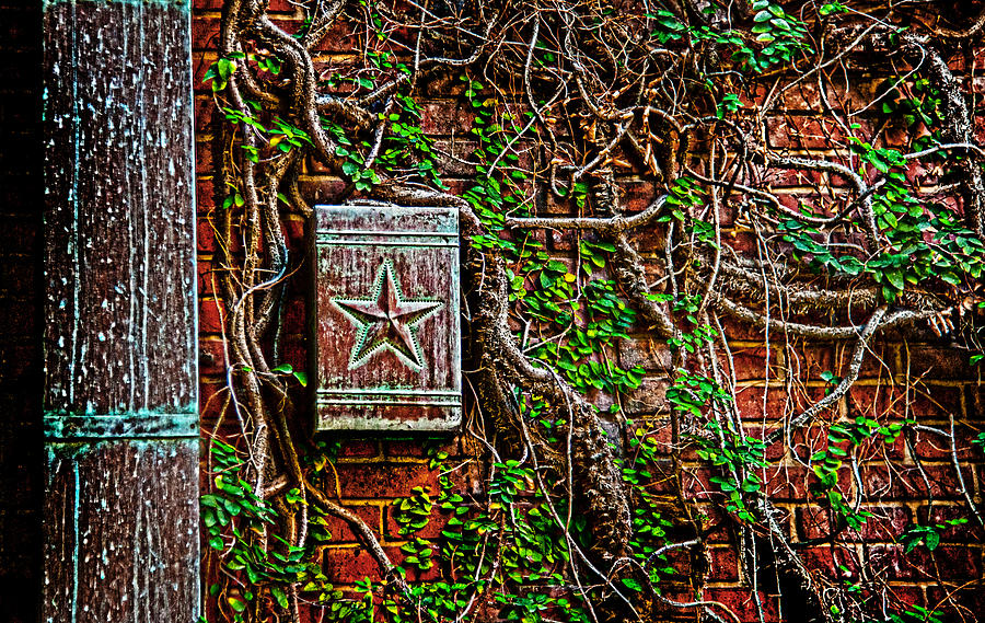 Brick Photograph - Texas Star by Thomas Kessler
