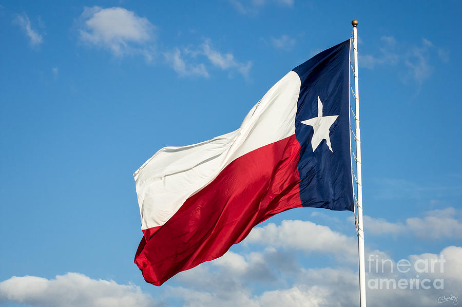 State Flag of Texas Photograph by Imagery by Charly