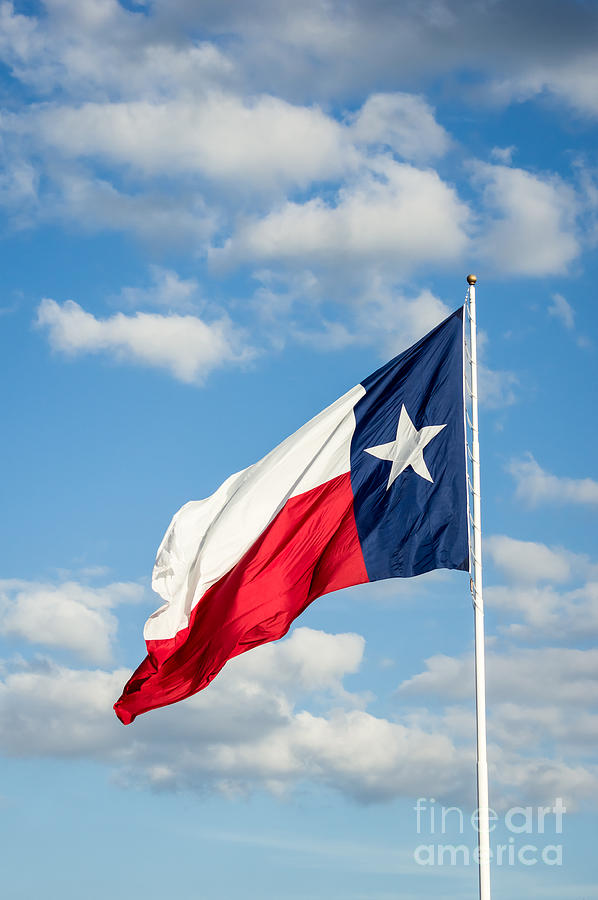 Texas State Flag Waving Photograph by Imagery by Charly