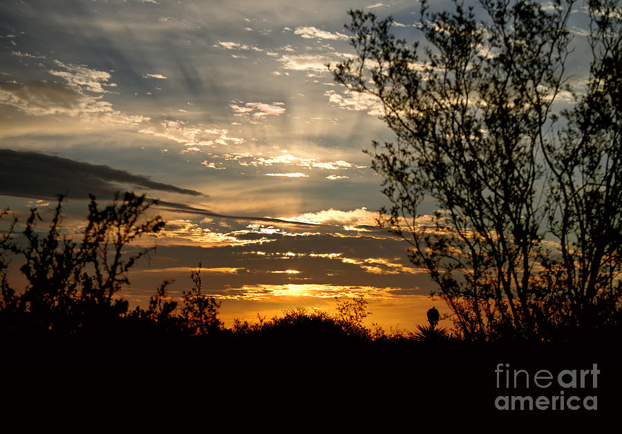 Texas Sunrise Photograph by Betty Depee