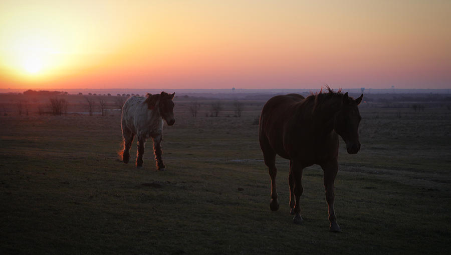 Texas Sunrise Photograph by Diane Bohna