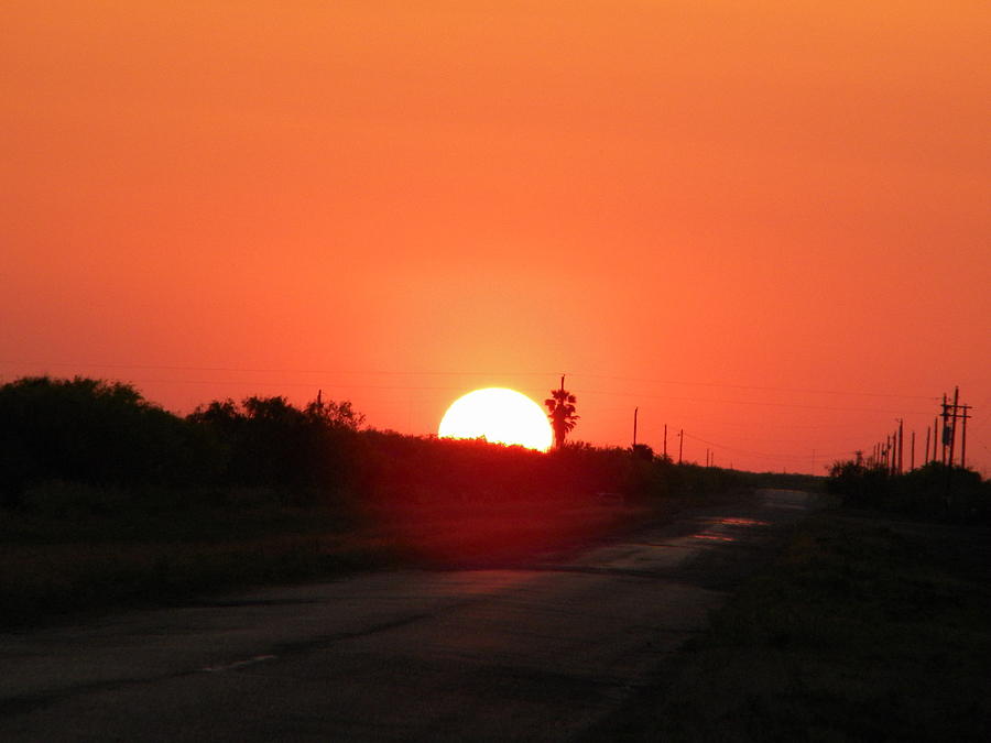 Texas sunset 2 Photograph by James Petersen