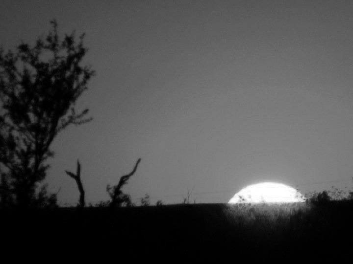 Texas Sunset Black and White Photograph by Shawn Hughes