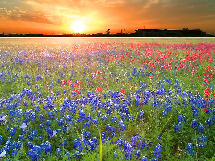 Texas Sunset Photograph By Nobi Nagase 