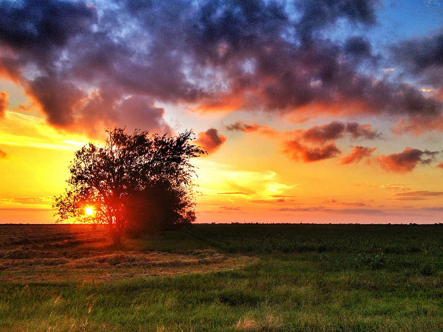 Texas Sunset Photograph By Rebecca Bayer - Pixels