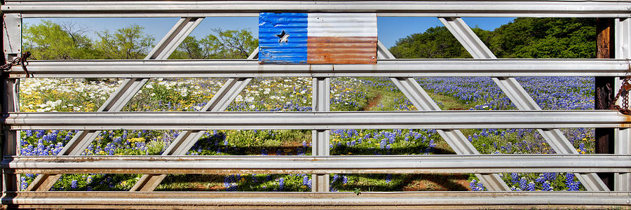 Texas Wildflowers Panorama - Texas Gate And Bluebonnets Photograph