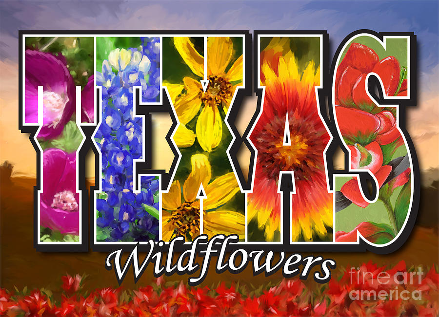 Texas-Wildflowers Painting by Tim Gilliland
