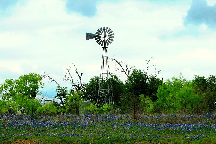 Texas Windmill and Bluebonnets Photograph by Marilyn Burton