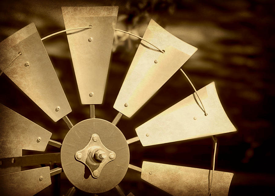Toto Photograph - Texas Windmill by Elizabeth Budd